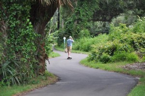 Using a different form of transportation, this skateboarder takes the long and winding road along the Amelia Island trail in Nassau County, Florida. Trails provide an alternate form of transportation while enhancing Florida's highway system.