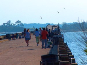George Crady Bridge state fishing pier, located in Nassau county, Florida, was once a bridge segment of SR-105 (Heckscher Drive), also known as A1A, 1st Coast Hwy., and Buccaneer Trail, until the new bridge was completed. Now the old bridge is open to all communities for all types of fun in the sun.