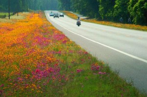 It's spring time on this section of US 27, which is located in Columbia county, just west of the town of Ft. White, parallel to US 27 is the Ichetucknee to O’Leno trail. This 12 mile paved path connects two north central Florida state parks, Ichetucknee Springs and O'Leno.